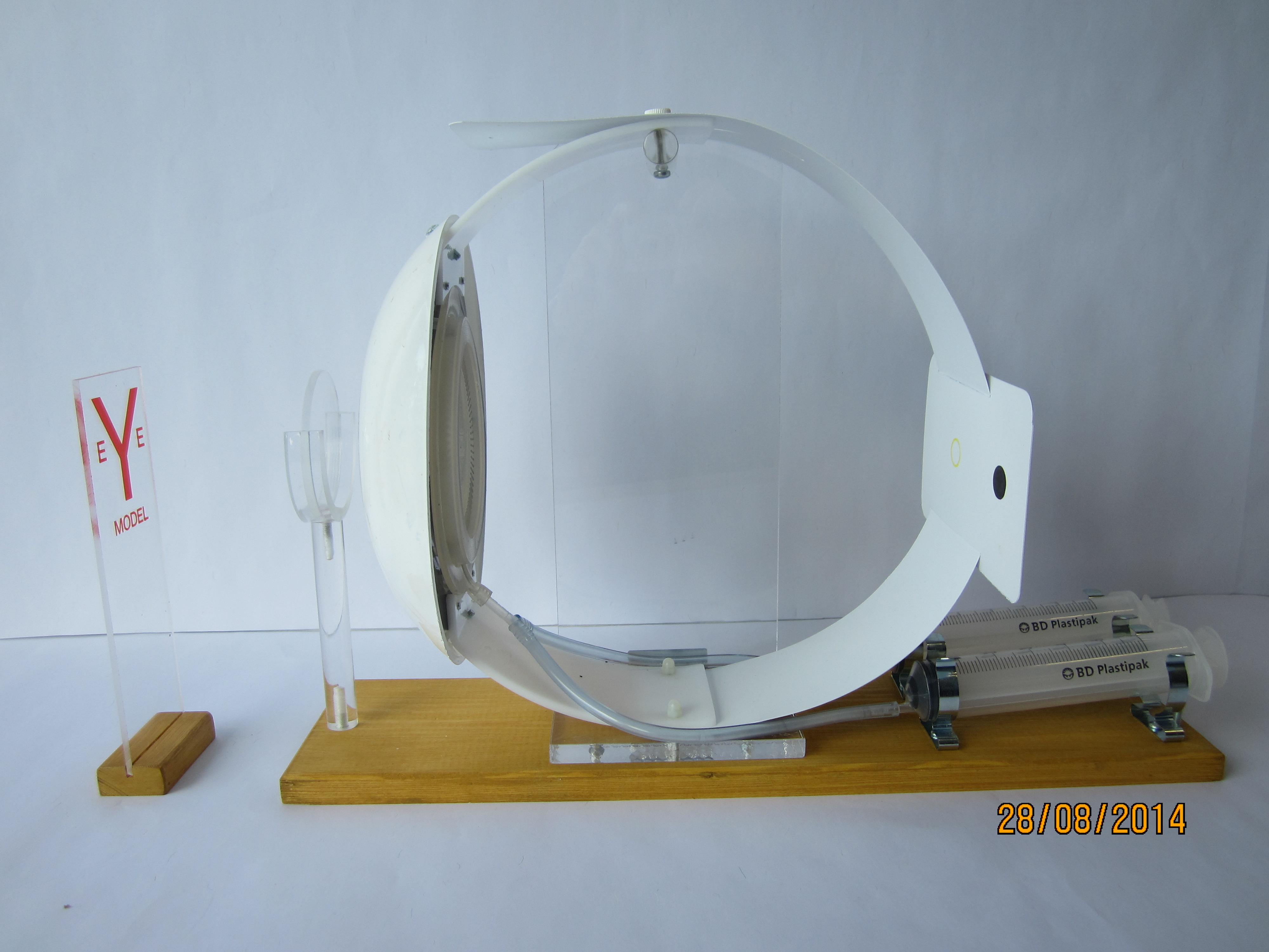 Augenmodell mit variabler Linse simuliert Kurz- und Weitsichtigkeit © Original CONATEX-DIDACTIC®Modell