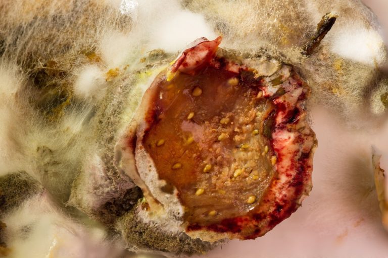 Fortbildung für Lehrkräfte von Mittel- und Berufsschulen am Donnerstag, den 06.10.2022 von 14:00 – 17:30 Uhr