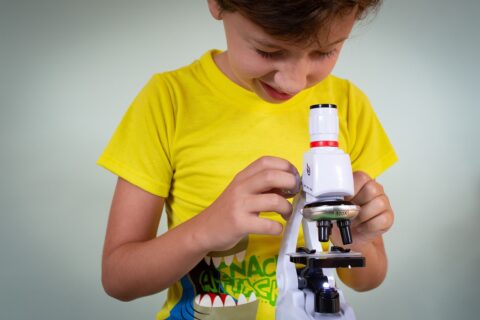 Zum Artikel "Mikroskopieren in der Mittelschule: Einfache Präparate selbst erstellen und lehrplankonform einsetzen – Fortbildung am 20.03.2024"