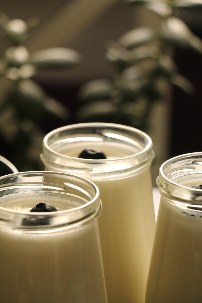 Sommercamp 2025 – „SpaßKasse – Kluger Umgang mit Geld“